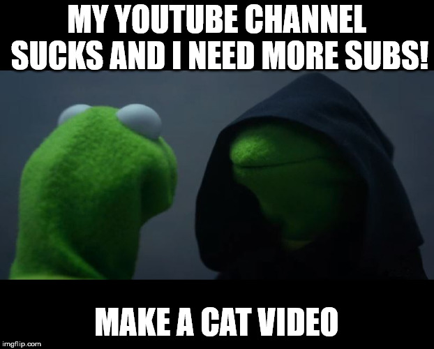 Evil Kermit Meme | MY YOUTUBE CHANNEL SUCKS AND I NEED MORE SUBS! MAKE A CAT VIDEO | image tagged in evil kermit meme | made w/ Imgflip meme maker
