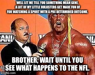 Professional Wrestling/Professional Football  | WELL LET ME TELL YOU SOMETHING MEAN GENE, A LOT OF MY LITTLE HULKSTERS GET MADE FUN OF FOR WATCHING A SPORT WITH A PRE DETERMINED OUTCOME. BROTHER, WAIT UNTIL YOU SEE WHAT HAPPENS TO THE NFL. | image tagged in hulk hogan,nfl memes,football,rigged,fixed,fake sport | made w/ Imgflip meme maker