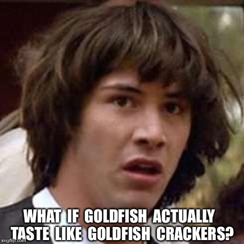What if | WHAT  IF  GOLDFISH  ACTUALLY  TASTE  LIKE  GOLDFISH  CRACKERS? | image tagged in what if | made w/ Imgflip meme maker