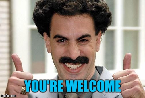 Great Success  | YOU'RE WELCOME | image tagged in great success | made w/ Imgflip meme maker