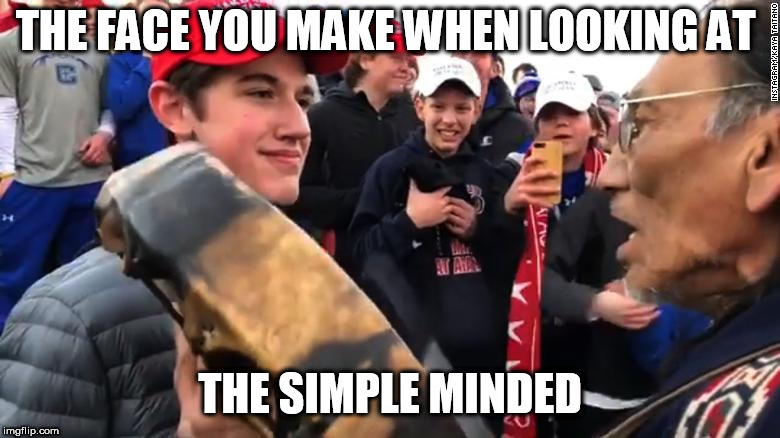 maga1 | THE FACE YOU MAKE WHEN LOOKING AT; THE SIMPLE MINDED | image tagged in maga1 | made w/ Imgflip meme maker