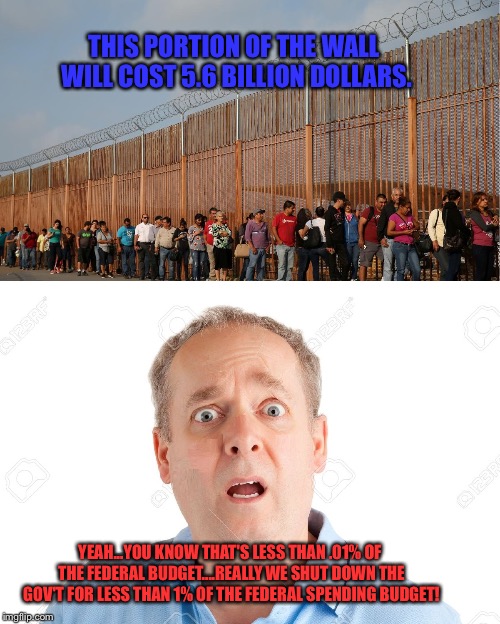 Boarder Wall | THIS PORTION OF THE WALL WILL COST 5.6 BILLION DOLLARS. YEAH...YOU KNOW THAT'S LESS THAN .01% OF THE FEDERAL BUDGET....REALLY WE SHUT DOWN THE GOV'T FOR LESS THAN 1% OF THE FEDERAL SPENDING BUDGET! | image tagged in boarder wall | made w/ Imgflip meme maker