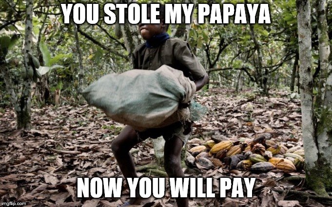 stola ma papaya | YOU STOLE MY PAPAYA; NOW YOU WILL PAY | image tagged in 3rd world kid,cool,funny,sad,papaya,epic | made w/ Imgflip meme maker