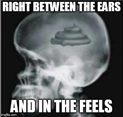 Shit for brains | RIGHT BETWEEN THE EARS AND IN THE FEELS | image tagged in shit for brains | made w/ Imgflip meme maker