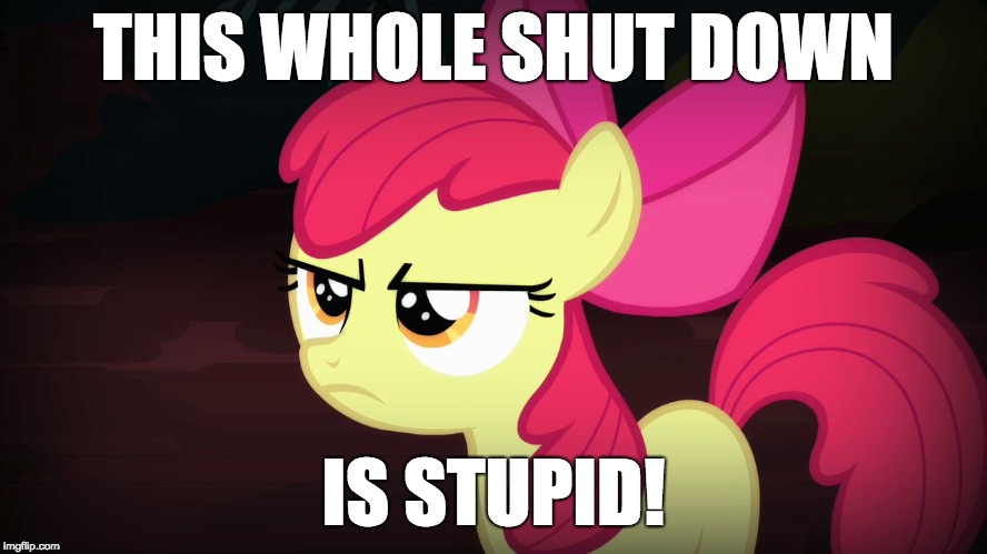 Angry Applebloom | THIS WHOLE SHUT DOWN IS STUPID! | image tagged in angry applebloom | made w/ Imgflip meme maker