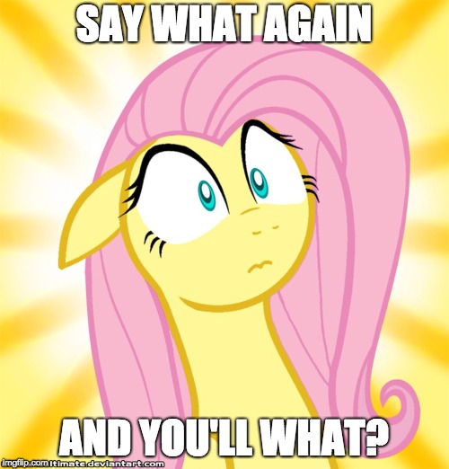 Shocked Fluttershy | SAY WHAT AGAIN AND YOU'LL WHAT? | image tagged in shocked fluttershy | made w/ Imgflip meme maker