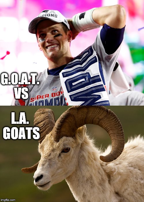GOAT vs. Goats | G.O.A.T. VS; L.A. GOATS | image tagged in 2 seed | made w/ Imgflip meme maker