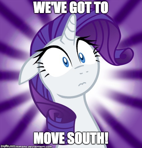 Shocked Rarity | WE'VE GOT TO MOVE SOUTH! | image tagged in shocked rarity | made w/ Imgflip meme maker
