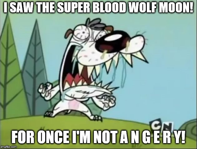 A N G E R Y D O G | I SAW THE SUPER BLOOD WOLF MOON! FOR ONCE I'M NOT A N G E R Y! | image tagged in a n g e r y d o g | made w/ Imgflip meme maker