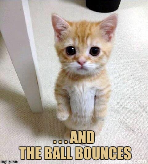 Cute Cat Meme | . . . AND THE BALL BOUNCES | image tagged in memes,cute cat | made w/ Imgflip meme maker