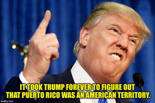 Donald Trump | IT TOOK TRUMP FOREVER TO FIGURE OUT THAT PUERTO RICO WAS AN AMERICAN TERRITORY. | image tagged in donald trump | made w/ Imgflip meme maker