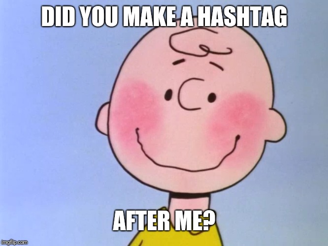 charlie blushes | DID YOU MAKE A HASHTAG AFTER ME? | image tagged in charlie blushes | made w/ Imgflip meme maker