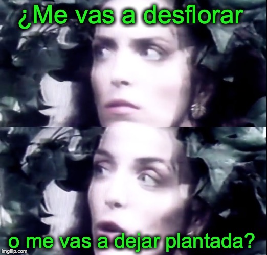 Desflorar o dejar plantada | ¿Me vas a desflorar; o me vas a dejar plantada? | image tagged in laura flores,virginidad,desflorar | made w/ Imgflip meme maker