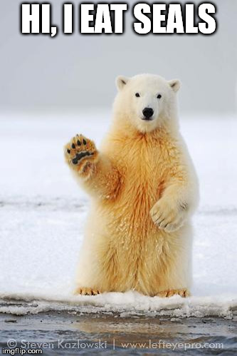 hello polar bear | HI, I EAT SEALS | image tagged in hello polar bear | made w/ Imgflip meme maker