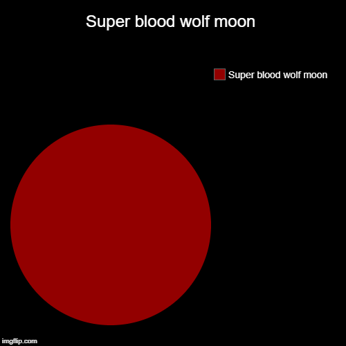Super blood wolf moon | Super blood wolf moon | Super blood wolf moon | image tagged in funny,pie charts,moon | made w/ Imgflip chart maker
