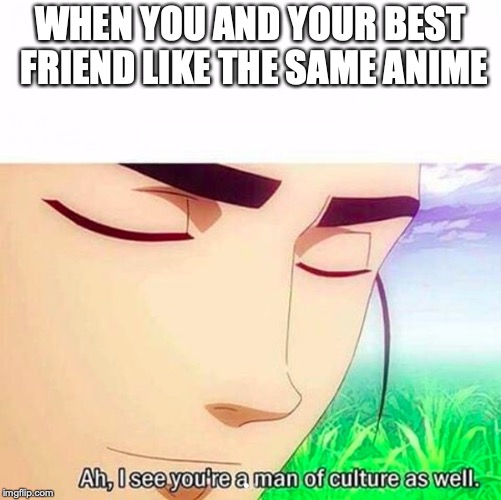 Ah,I see you are a man of culture as well | WHEN YOU AND YOUR BEST FRIEND LIKE THE SAME ANIME | image tagged in ah i see you are a man of culture as well | made w/ Imgflip meme maker