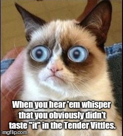 Grumpy Cat Shocked | When you hear 'em whisper that you obviously didn't taste "it" in the Tender Vittles. | image tagged in grumpy cat shocked | made w/ Imgflip meme maker