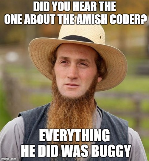 Amish computer coder | DID YOU HEAR THE ONE ABOUT THE AMISH CODER? EVERYTHING HE DID WAS BUGGY | image tagged in code,amish,buggy,computer virus,computer,programming | made w/ Imgflip meme maker