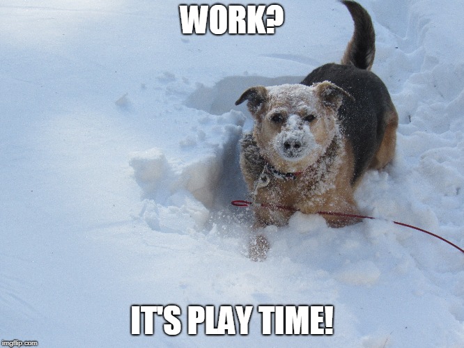 WORK? IT'S PLAY TIME! | made w/ Imgflip meme maker