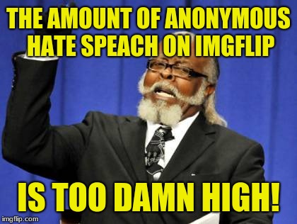 That mods allow it is a tacit endorsement of the content and a poor reflection of them & site owner(s). | THE AMOUNT OF ANONYMOUS HATE SPEACH ON IMGFLIP; IS TOO DAMN HIGH! | image tagged in memes,too damn high,hate speech,antisemitism,intolerance,partisanship | made w/ Imgflip meme maker