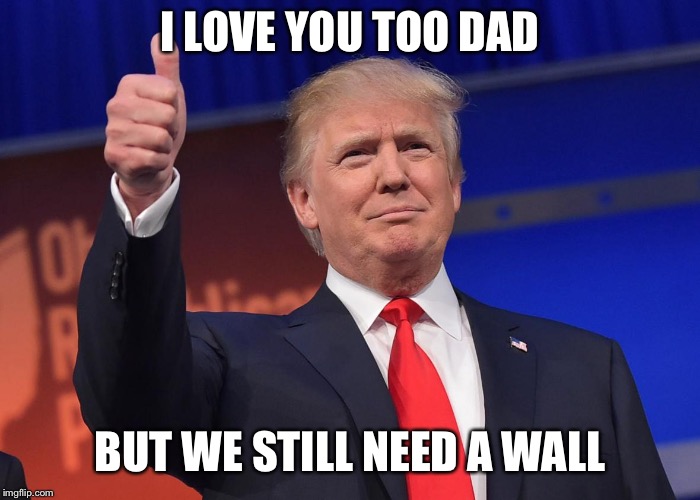 donald trump | I LOVE YOU TOO DAD BUT WE STILL NEED A WALL | image tagged in donald trump | made w/ Imgflip meme maker