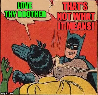 Batman Slapping Robin | LOVE THY BROTHER; THAT'S NOT WHAT IT MEANS! | image tagged in memes,batman slapping robin | made w/ Imgflip meme maker