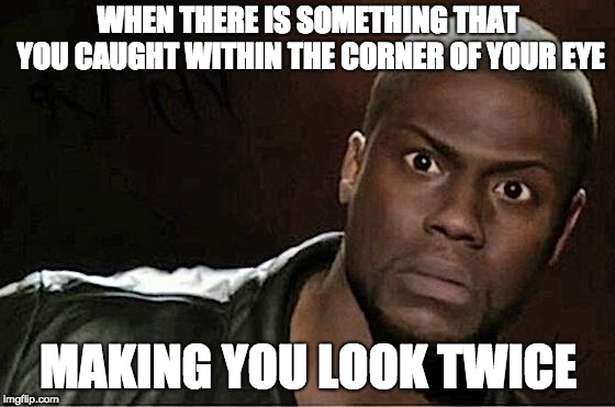 Look Twice | WHEN THERE IS SOMETHING THAT YOU CAUGHT WITHIN THE CORNER OF YOUR EYE; MAKING YOU LOOK TWICE | image tagged in memes,kevin hart | made w/ Imgflip meme maker