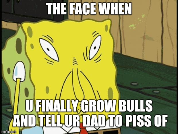 Spongebob funny face | THE FACE WHEN; U FINALLY GROW BULLS AND TELL UR DAD TO PISS OF | image tagged in spongebob funny face | made w/ Imgflip meme maker