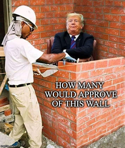 Walling Trump
 | HOW MANY WOULD APPROVE OF THIS WALL | image tagged in trumps wall,border wall,government shutdown,approve,another brick in the wall,mortar | made w/ Imgflip meme maker