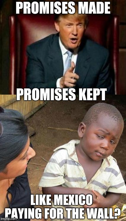 Promises, Promises | PROMISES MADE; PROMISES KEPT; LIKE MEXICO PAYING FOR THE WALL? | image tagged in memes,third world skeptical kid,donald trump,trump wall,promises | made w/ Imgflip meme maker