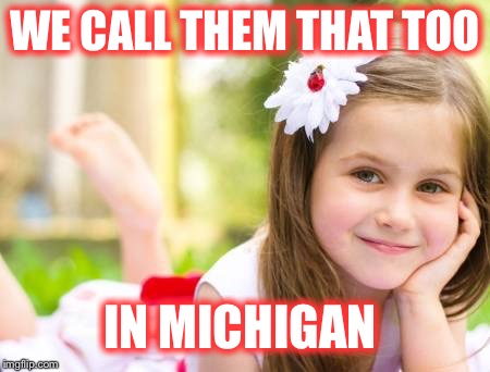 WE CALL THEM THAT TOO IN MICHIGAN | made w/ Imgflip meme maker