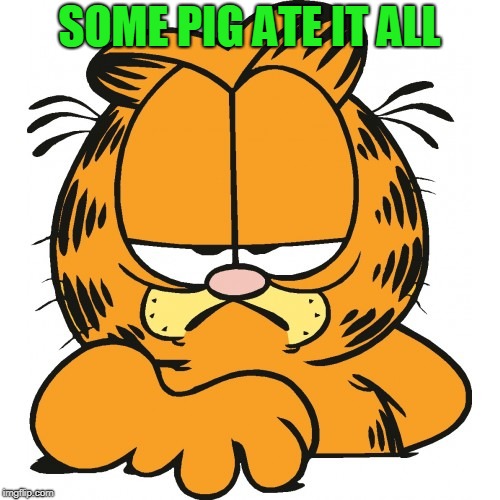 Garfield | SOME PIG ATE IT ALL | image tagged in garfield | made w/ Imgflip meme maker