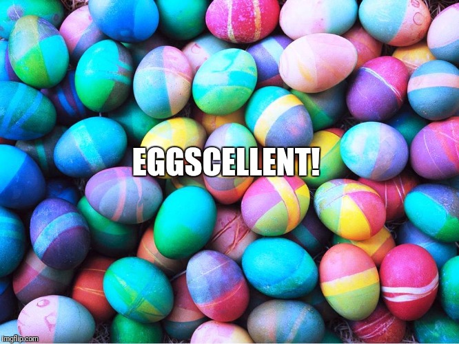 easter eggs | EGGSCELLENT! | image tagged in easter eggs | made w/ Imgflip meme maker