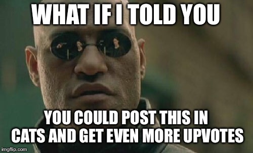 Matrix Morpheus Meme | WHAT IF I TOLD YOU YOU COULD POST THIS IN CATS AND GET EVEN MORE UPVOTES | image tagged in memes,matrix morpheus | made w/ Imgflip meme maker