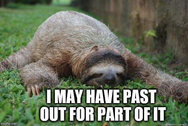 Sleeping sloth | I MAY HAVE PAST OUT FOR PART OF IT | image tagged in sleeping sloth | made w/ Imgflip meme maker