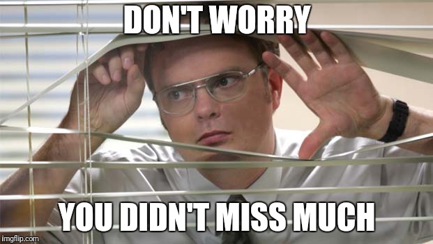 FOMO Dwight | DON'T WORRY YOU DIDN'T MISS MUCH | image tagged in fomo dwight | made w/ Imgflip meme maker