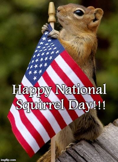 National Squirrel Day... | Happy National Squirrel Day!!! | image tagged in happy,national,squirrel day | made w/ Imgflip meme maker