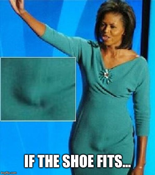 Michelle Obama Has a Penis | IF THE SHOE FITS... | image tagged in michelle obama has a penis | made w/ Imgflip meme maker