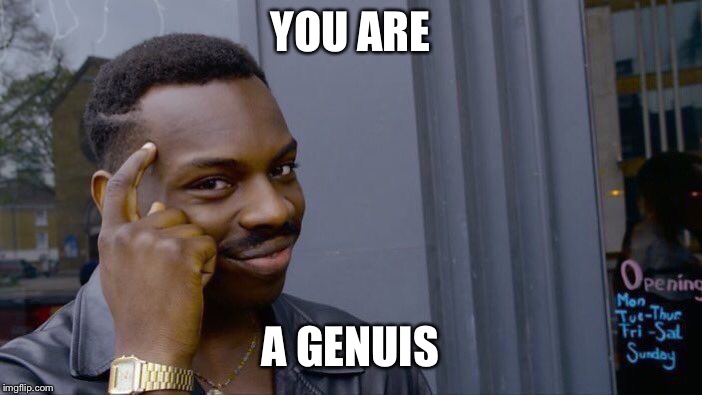 YOU ARE A GENIUS | image tagged in memes,roll safe think about it | made w/ Imgflip meme maker