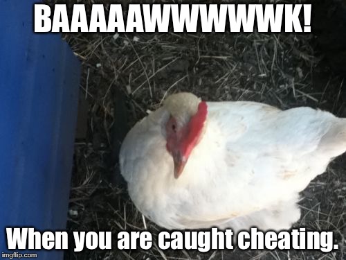 Angry Chicken Boss | BAAAAAWWWWWK! When you are caught cheating. | image tagged in memes,angry chicken boss | made w/ Imgflip meme maker