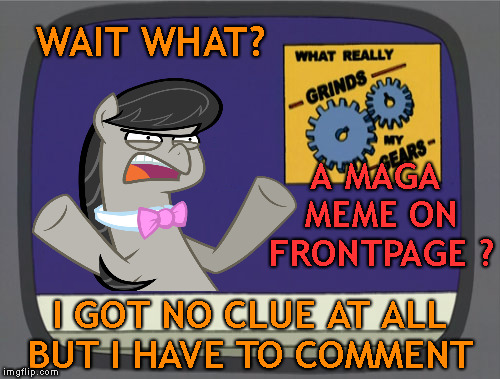 what really grinds my gears Octavia Melody | WAIT WHAT? I GOT NO CLUE AT ALL BUT I HAVE TO COMMENT A MAGA MEME ON FRONTPAGE ? | image tagged in what really grinds my gears octavia melody | made w/ Imgflip meme maker