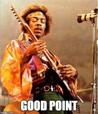 Jimi Hendrix | GOOD POINT | image tagged in jimi hendrix | made w/ Imgflip meme maker