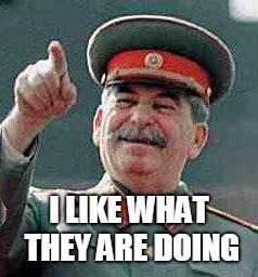 Stalin says | I LIKE WHAT THEY ARE DOING | image tagged in stalin says | made w/ Imgflip meme maker