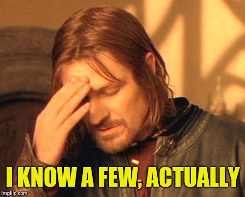 Frustrated Boromir | I KNOW A FEW, ACTUALLY | image tagged in frustrated boromir | made w/ Imgflip meme maker