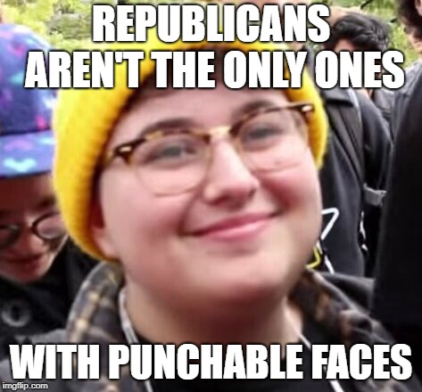 Everyone says the Covington Catholic students are punks, but they're not the only ones. | REPUBLICANS AREN'T THE ONLY ONES; WITH PUNCHABLE FACES | image tagged in sjw,punch,punk | made w/ Imgflip meme maker