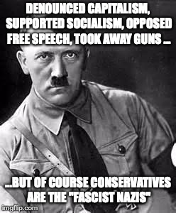 *liberal silence* | DENOUNCED CAPITALISM, SUPPORTED SOCIALISM, OPPOSED FREE SPEECH, TOOK AWAY GUNS ... ...BUT OF COURSE CONSERVATIVES ARE THE "FASCIST NAZIS" | image tagged in adolf hitler,memes,funny,liberals,conservatives | made w/ Imgflip meme maker