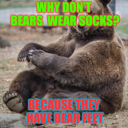 WHY DON’T BEARS  WEAR SOCKS? BECAUSE THEY HAVE BEAR FEET | image tagged in bad joke,funny | made w/ Imgflip meme maker