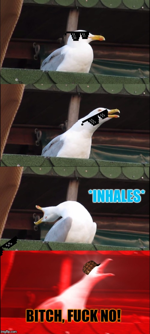 Inhaling Seagull Meme | *INHALES* B**CH, F**K NO! | image tagged in memes,inhaling seagull | made w/ Imgflip meme maker
