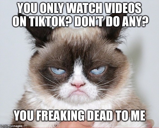 hate you | YOU ONLY WATCH VIDEOS ON TIKTOK? DON’T DO ANY? YOU FREAKING DEAD TO ME | image tagged in hate you | made w/ Imgflip meme maker