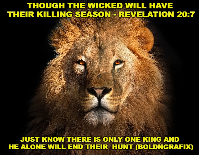 There is only one king! | THOUGH THE WICKED WILL HAVE THEIR KILLING SEASON - REVELATION 20:7; JUST KNOW THERE IS ONLY ONE KING AND HE ALONE WILL END THEIR  HUNT (BOLDNGRAFIX) | image tagged in king,holy bible,revelation,boldngrafix | made w/ Imgflip meme maker